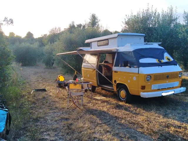 Combi Transporteur T3 – Pia
