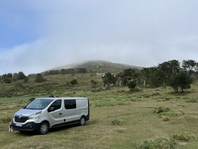 Van Renault Trafic Iii – Mios