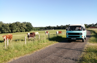 Volkswagen TRANSPORTEUR T3 Westfalia image