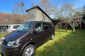 Volkswagen CALIFORNIA California 4 Motion image