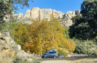 Ford WESTFALIA Custom nugget image