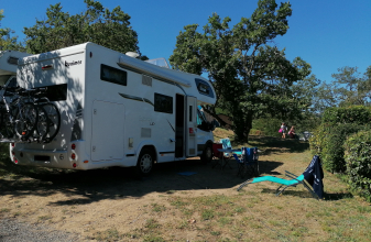 FORD BENIMAR SPORT image