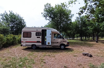 Renault TRAFIC R320 image
