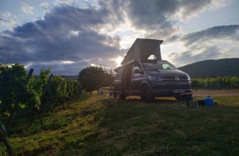 VOLKSWAGEN VOLKSWAGEN CALIFORNIA