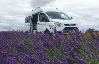 Ford AUTRE Ford Transit custom L2H2 image