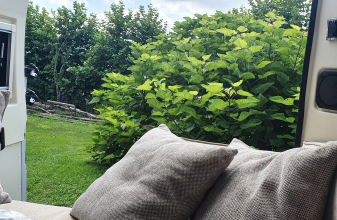 Fiat CAMPEREVE LIVING VAN image