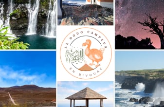 FORD DREAMER VANS image