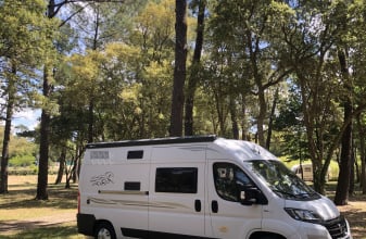 Fiat MC LOUIS MENFYS Yearling 3